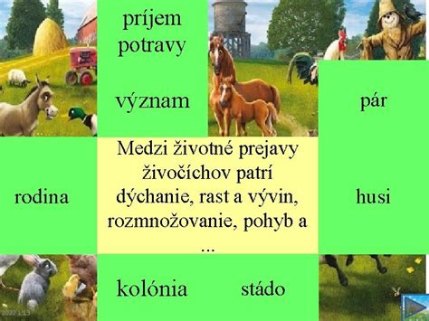 Ilustrácia znázorňujúca rastúce dieťa a jeho príjem potravy v rôznych fázach vývoja.