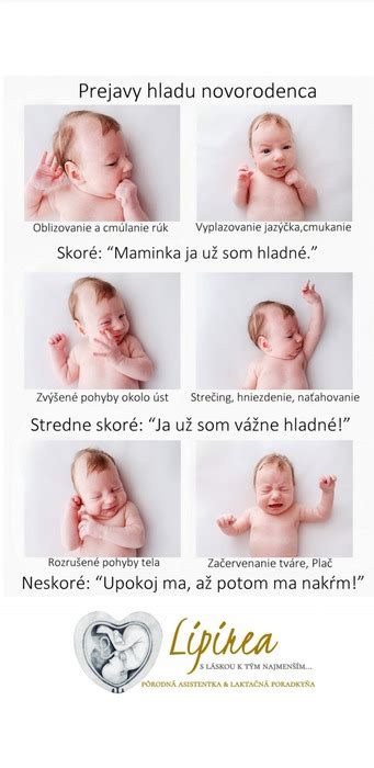 Infografika zobrazujúca signály hladu u novorodenca.