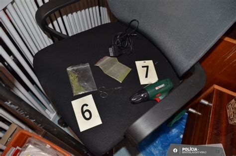 ilustračná fotografia policajnej prehliadky