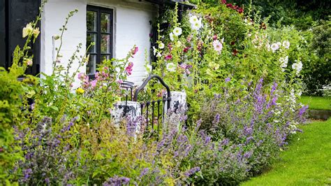 fotografia exteriéru Ubytovania Pepo s upraveným trávnikom a kvetmi