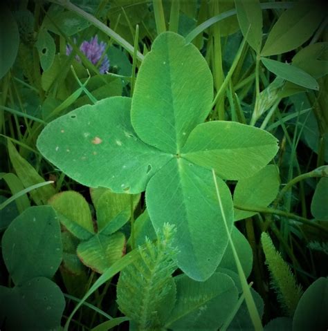 Ilustrácia zobrazujúca náramky ako symbol šťastia