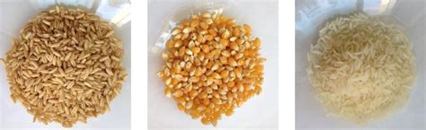 Ilustrácia rôznych druhov obilnín vhodných pre detské kaše.