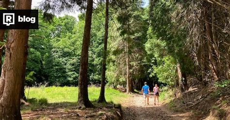 Ilustrácia rodiny na prechádzke v prírode, ktorá symbolizuje pohyb na čerstvom vzduchu.