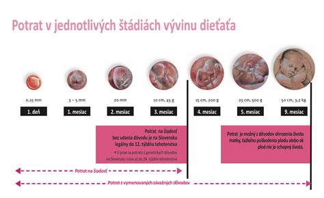 Koláž zobrazujúca rôzne formy ohrozenia života: potrat, eutanázia, vojna, hlad