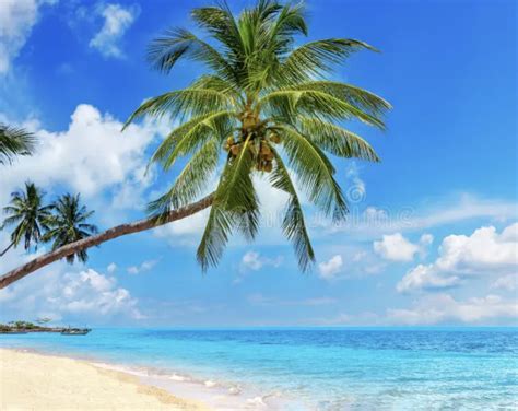 Dobová ilustrácia zobrazujúca rodinu s novonarodenými dvojičkami.