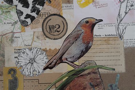 koláž vtipných obrázkov s narodeninovou tematikou