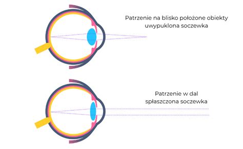 Infografika znázorňujúca štruktúru oka a základné zrakové funkcie