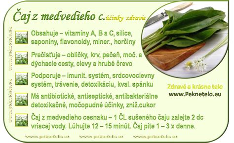 Ilustrácia listov medvedieho cesnaku v prirodzenom prostredí