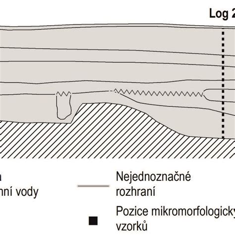 schematické znázornenie ženského reprodukčného systému s vyznačenými vajcovodmi a maternicou