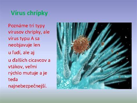 Infografika znázorňujúca rôzne typy vírusov a ich prenos