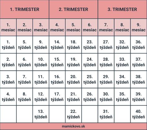 Grafické znázornenie tehotenstva rozdelené na trimestre a týždne.