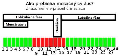 Grafické znázornenie ženského menštruačného cyklu a ovulácie.