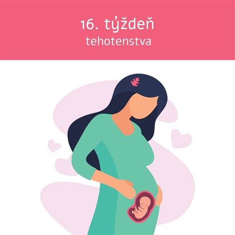 Ilustrácia vývoja bábätka v 34. týždni tehotenstva, zameraná na rast, vývoj orgánov a tvorbu tukových zásob.