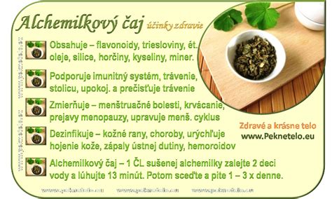 Ilustrácia: Rôzne formy užívania alchemilky (čaj, tinktúra, obklad)