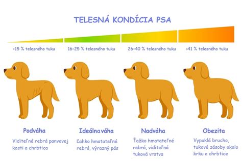 Ilustrácia správnej kŕmnej dávky pre jazvečíka