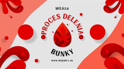 Ilustrácia znázorňujúca proces delenia buniek a chromozómov.