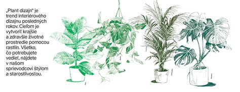 ilustrácia rôznych bezpečných a nebezpečných bylín v tehotenstve