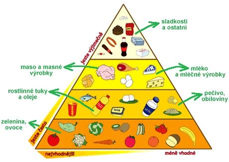 Pyramída zdravej raw stravy podľa WHO.