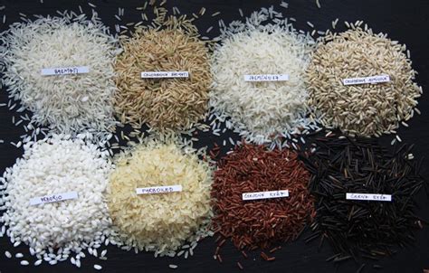 Rôzne druhy ryže - hnedá, biela, jazmínová, basmati