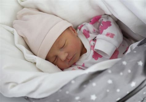 Infografika: Počet narodených detí pomocou IVF na Slovensku