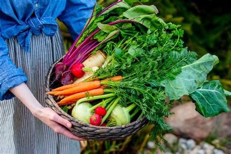 Ilustračná fotografia rôznych druhov ovocia a zeleniny, ktoré sú vhodné pri redukčnej diéte.