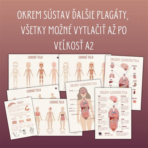 infografika porovnávajúca životnosť spermií v rôznych prostrediach (vzduch, voda, ľudské telo)