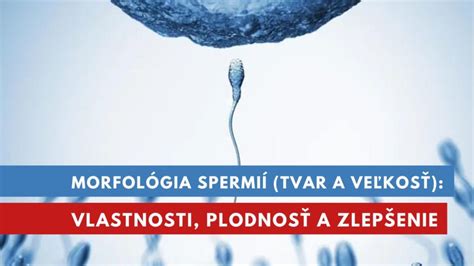 ilustrácia znázorňujúca proces zmrazovania spermií