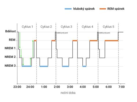 Ilustrácia porovnávajúca spánkové cykly novorodenca a dospelého