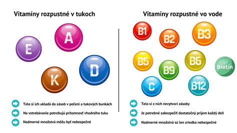 Ilustrácia znázorňujúca rozdiely medzi vitamínmi rozpustnými vo vode a v tukoch