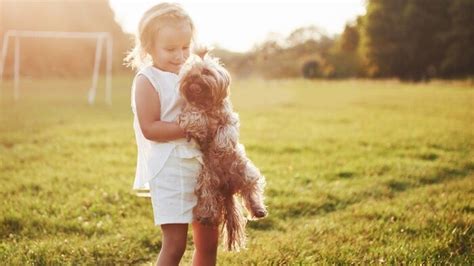 Ruka dieťaťa hladkajúca psa