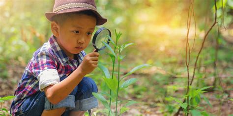 Infografika zobrazujúca rôzne typické prejavy nadaných detí, ako sú zvedavosť, rýchle učenie a perfekcionizmus.