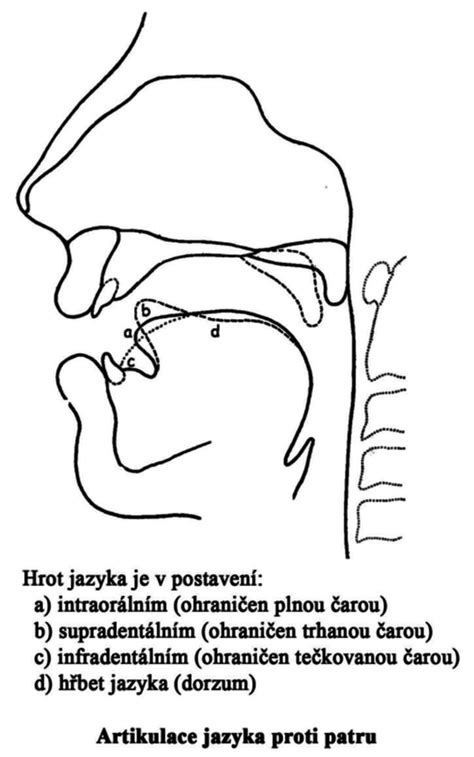 Ilustrácia znázorňujúca správne postavenie jazyka a pier pri výslovnosti hlásky R