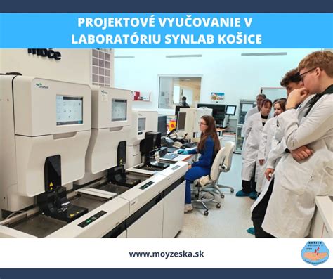 Ilustračný obrázok modelov embryí vytvorených v laboratóriu.