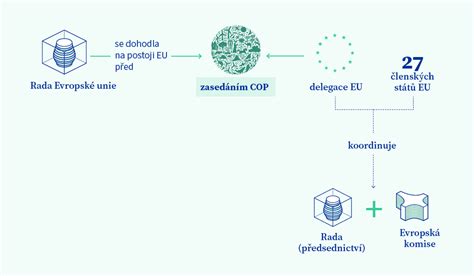 grafické znázornenie jednotlivých krokov IVF procesu