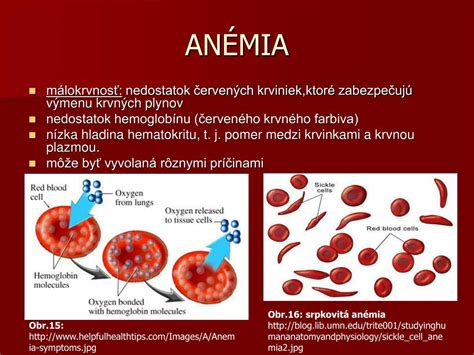 Ilustrácia červených krviniek s vyznačenými antigénmi.