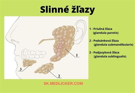 Schematické znázornenie rôznych typov deformít lebky u dojčiat.