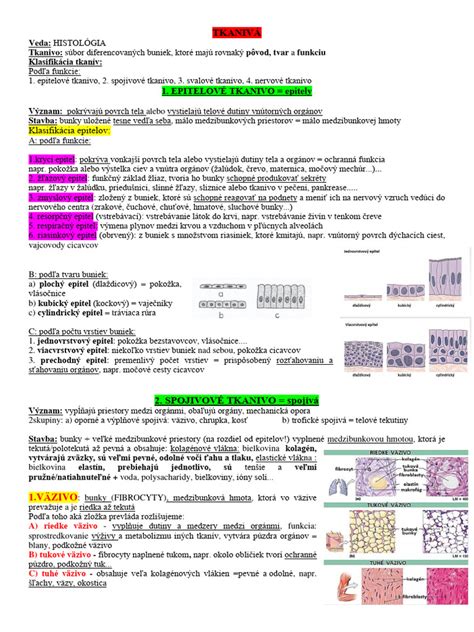 Ilustračná schéma pľúcneho tkaniva s viditeľným zápalom v alveoloch.