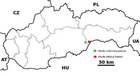 Ilustračná schéma párového ustajnenia teliat s vyznačením priestoru pre každé zviera a spoločného napájacieho miesta.
