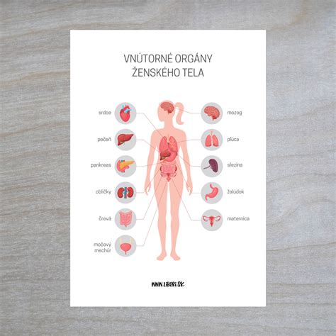 infografika zobrazujúca body na tele, kde by sa nemal nachádzať piercing pred operáciou