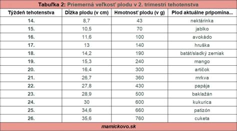 Grafické znázornenie rastu plodu počas druhého trimestra
