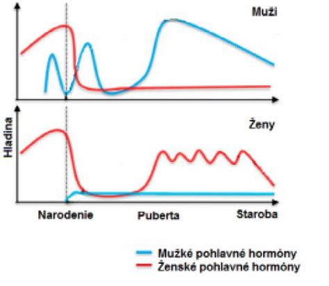 Grafické znázornenie menštruačného cyklu a hormonálnych zmien