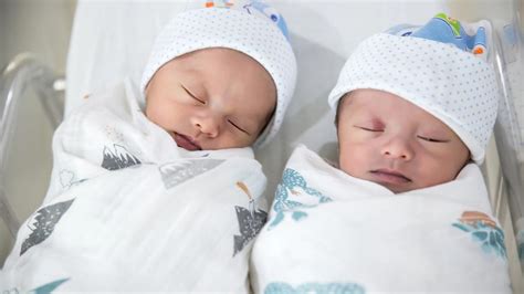 Novorodené dvojičky Misha - Nala a Mia