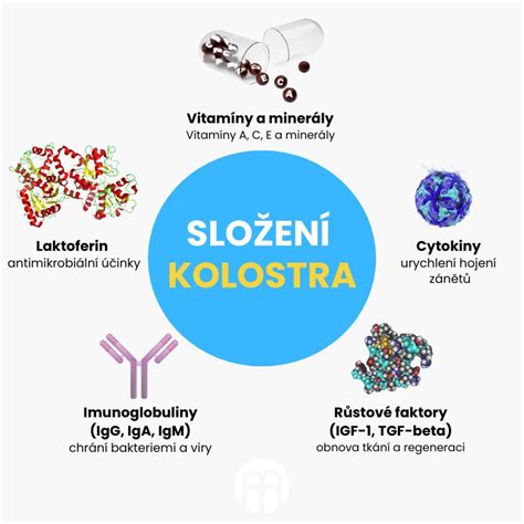 Ilustrácia zloženia kolostra s dôrazom na protilátky a živiny.