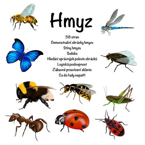 Ilustrácia tehotnej ženy v prírode, okolo ktorej poletuje hmyz