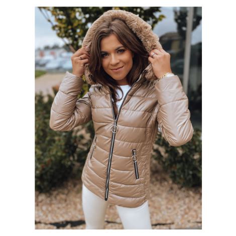 Ilustrácia zelenej múchy s kovovým leskom