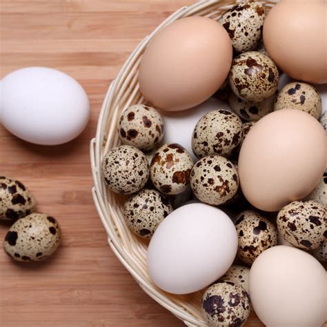 Ilustračná fotografia rôznych druhov vajec (slepačie, prepeličie)