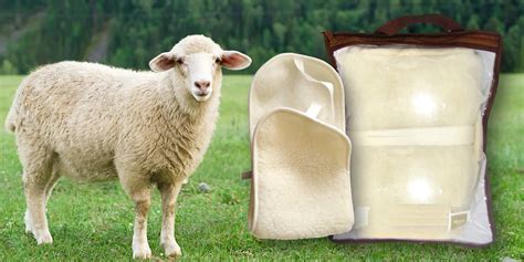 Ilustrácia jemnosti merino vlny