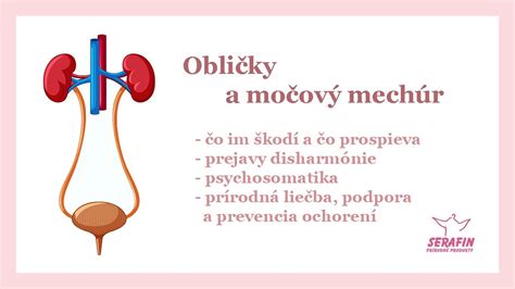 infografika znázorňujúca anatómiu močového systému ženy a body, kde sa môže vyskytnúť infekcia