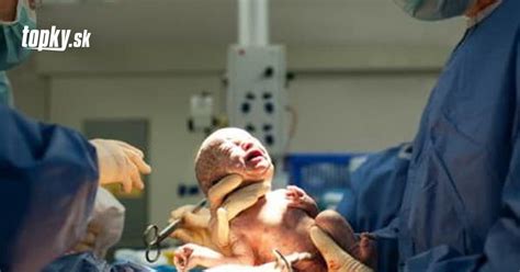 novorodeniatko psa v rukách chovateľa