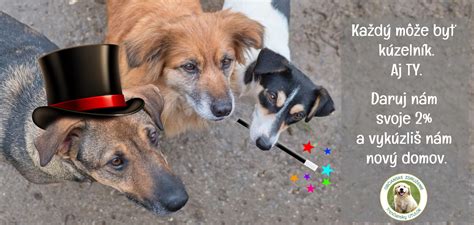 steniatka spia v pelisku